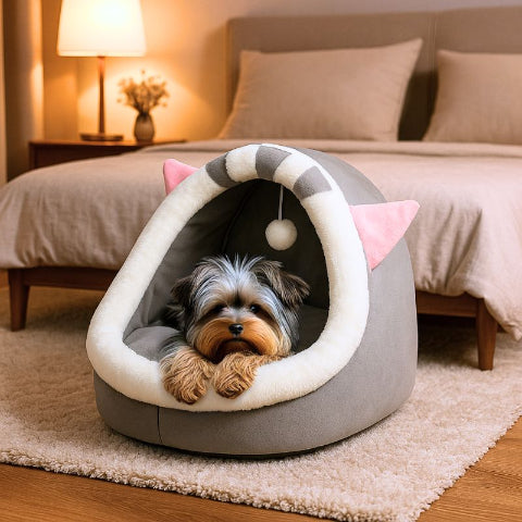 yorkshire terrier couché dans couchage pour chien gris coquino