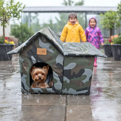 yorkshire terrier couché dans niche extérieur pour chien miwak imperméable