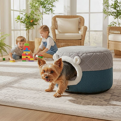 yorkshire terrier dans panier grotte pour chien antidérapant tampi