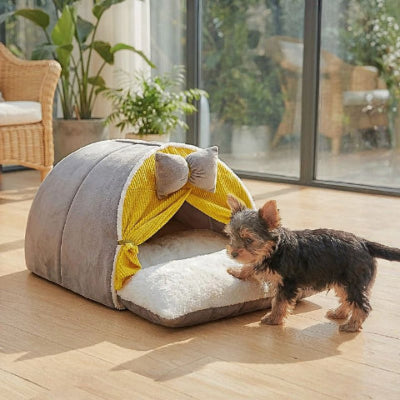 yorkshire terrier debout devant grotte pour chien respirante nougat