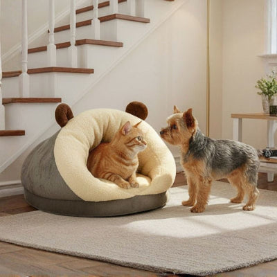 yorkshire terrier devant grotte pour chien escardou grise 